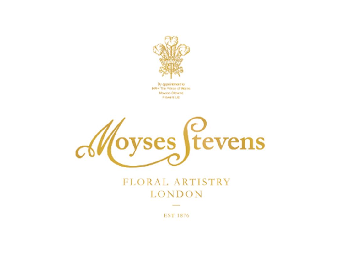 Moyses Stevens Discount Codes