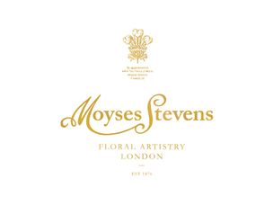 Moyses Stevens Voucher Codes