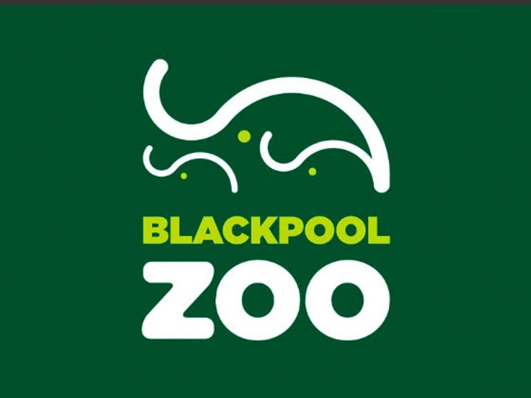 Blackpool Zoo Discount Codes