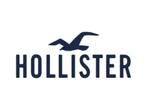 Hollister logo