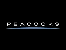 Peacocks logo