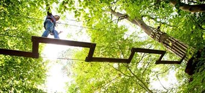 Go Ape Treetop