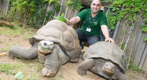 Animals at London Zoo