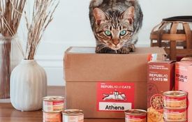 2 Weeks of Tailored Cat Food for £2.50 plus Free Delivery